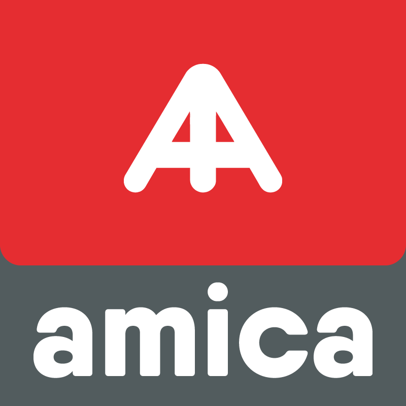 Amica-LogoRedes