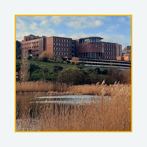 Imagen tomada desde el parque de las llamas, donde se ve la fachada opuesta del edificio que alberga las facultados de derecho y económicas de la Universidad de Cantabria